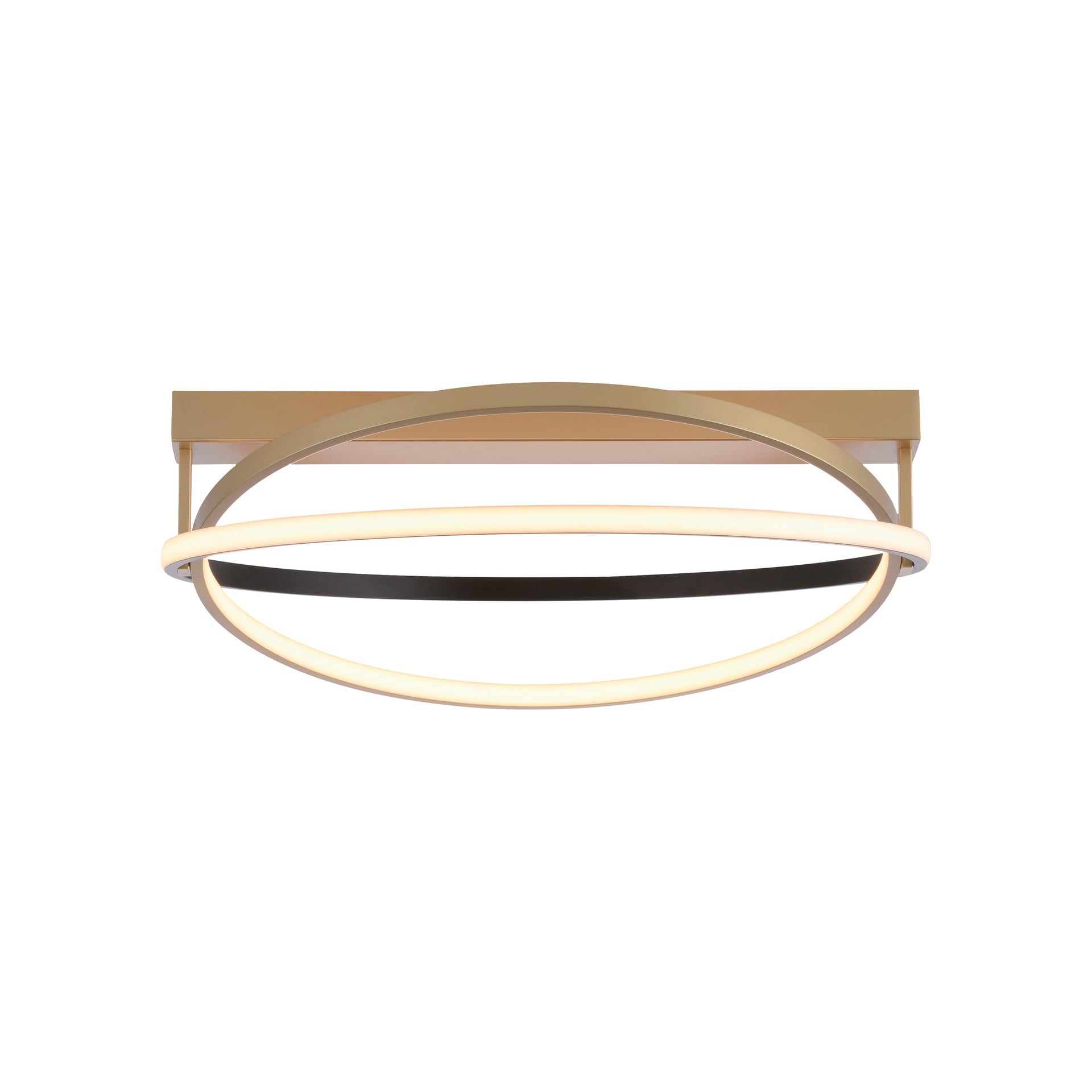 Paul Neuhaus LED Deckenlampe Q-BELUGA rund Messing/ Schwarz matt