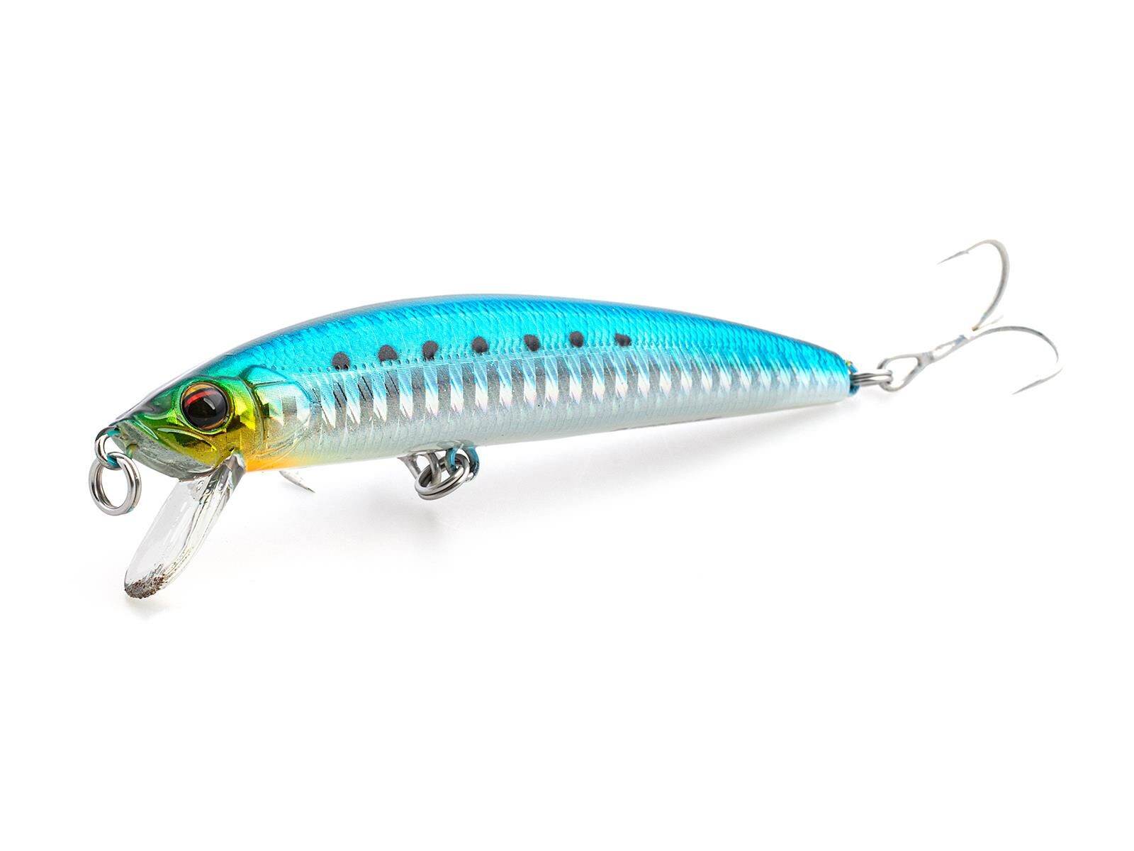 MW 90S (323) Sardine