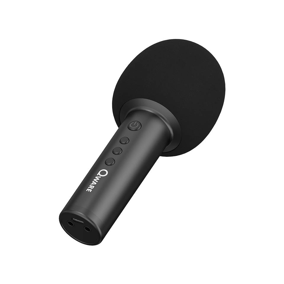 Qware karaoke microfoon + speaker - zwart