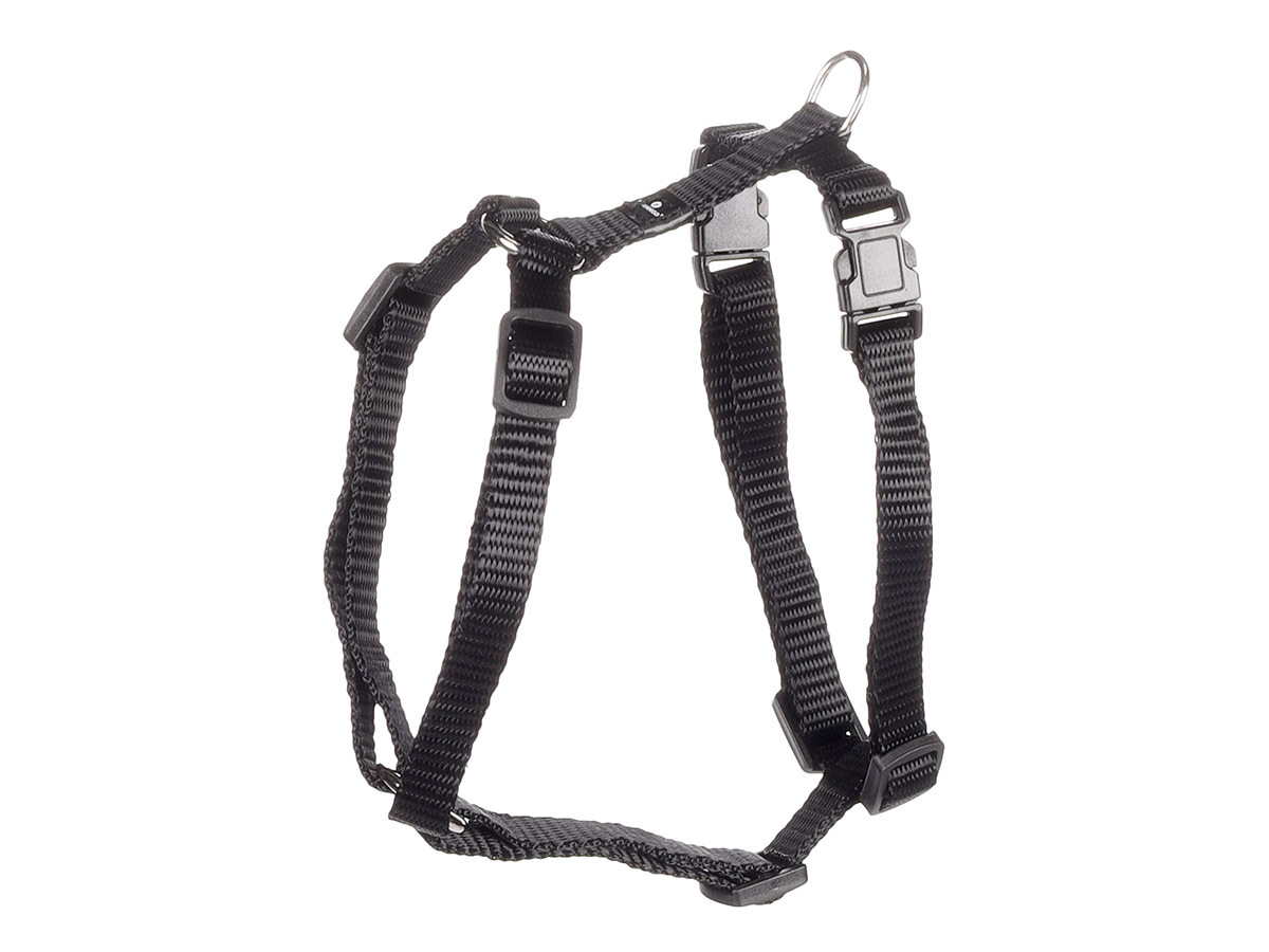 Flamingo Ziggi Black harnas - M