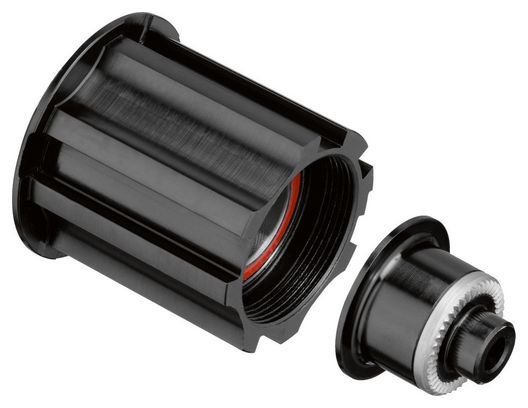 Corps de Roue Libre DT Swiss Campagnolo 240S Ratchet