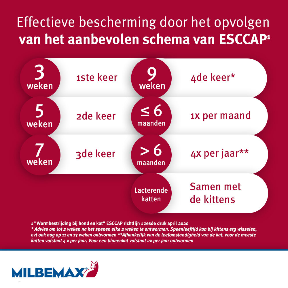 Milbemax Kat