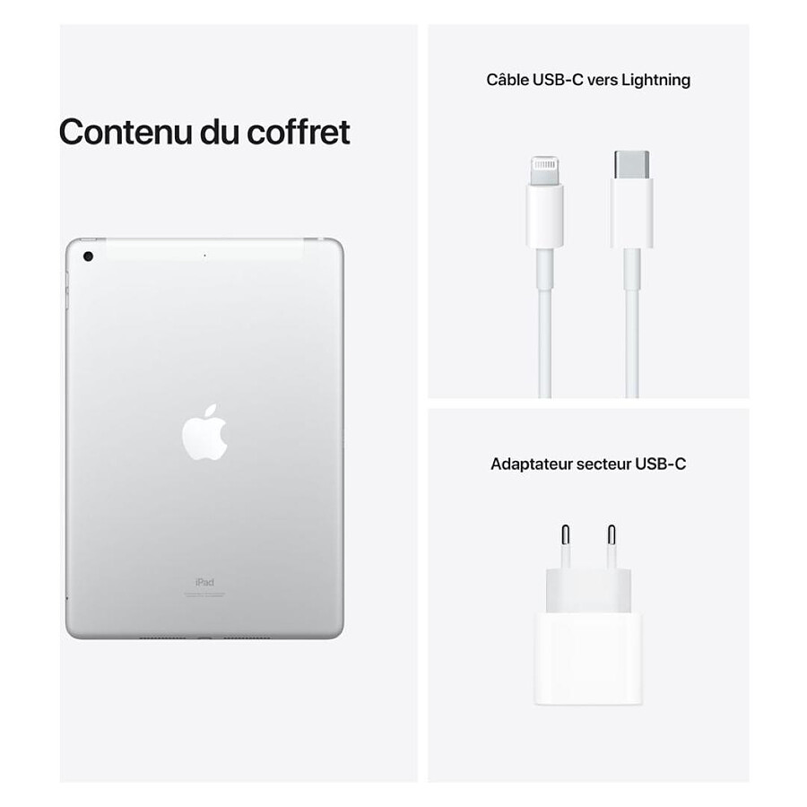 Apple iPad Wi-Fi + Cellular 10.2 - 256 Go - Argent (9 ème génération)