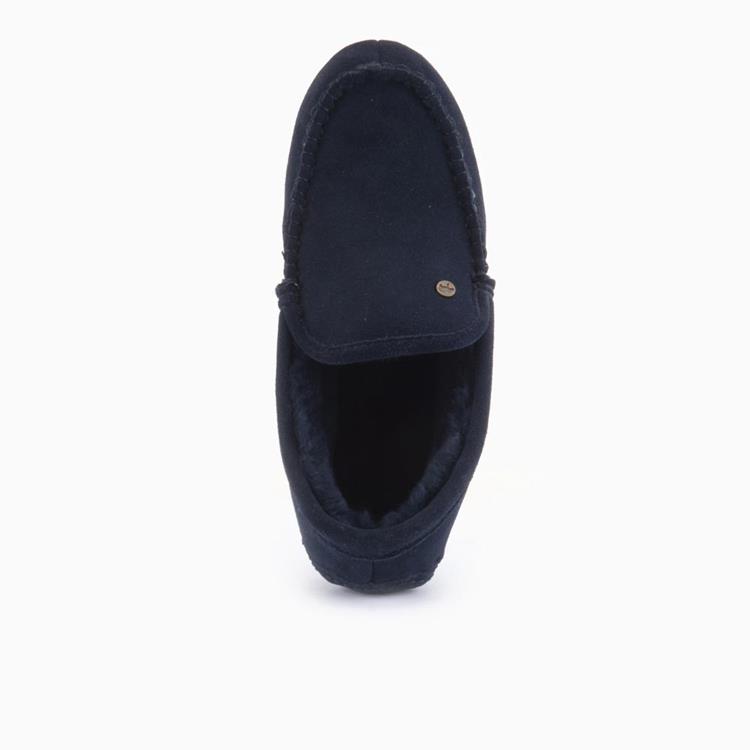 Warmbat Earlwood Blauw