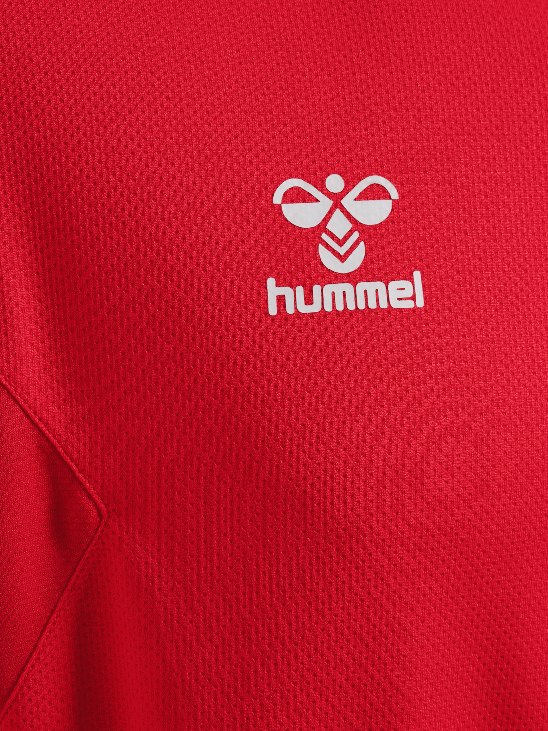 hmlAUTHENTIC PL HOODIE