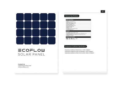 EcoFlow 160 W Tragbares Solarpanel