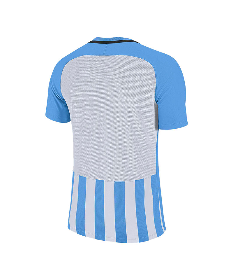 Nike Striped Division III Trikot Blau F412