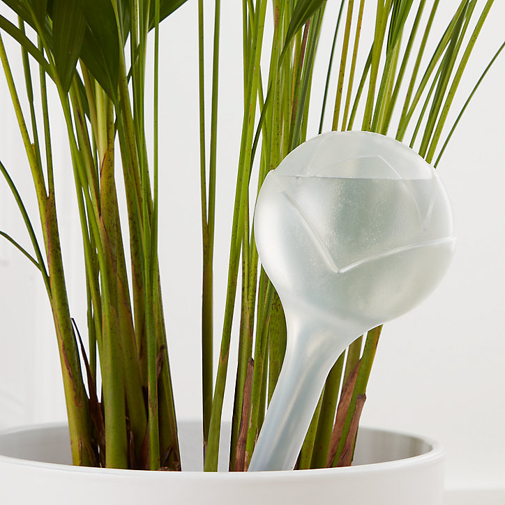 Cône d'arrosage goutte à goutte Verve en plastique transparent