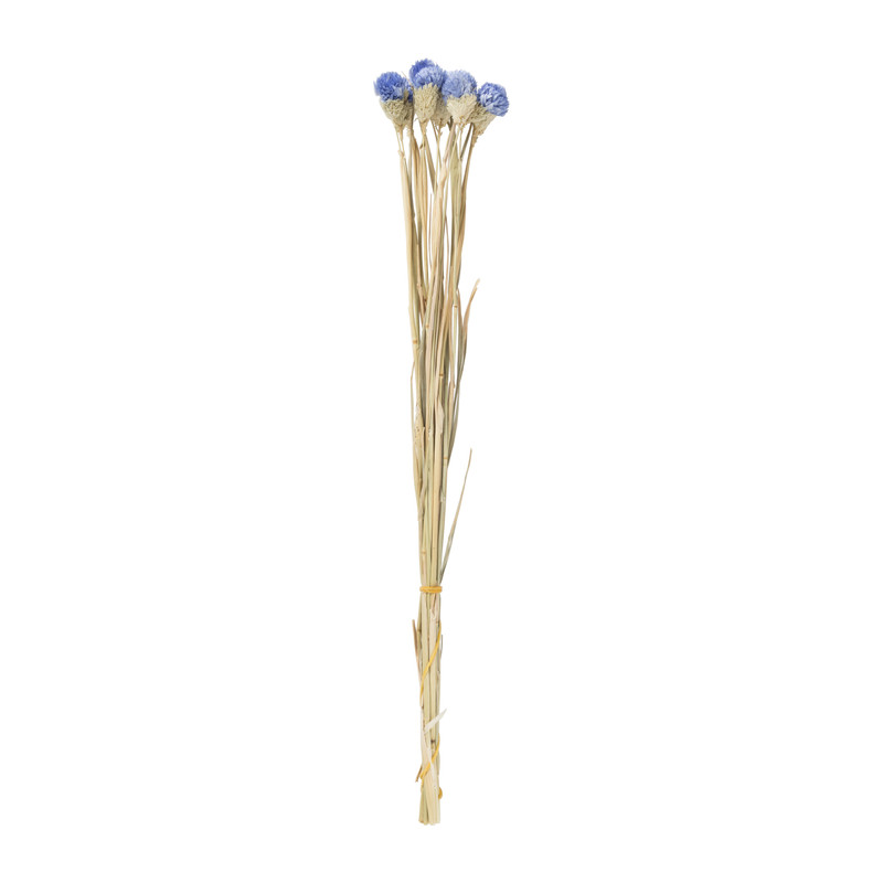 Droogbloemen - diverse varianten - 38 cm