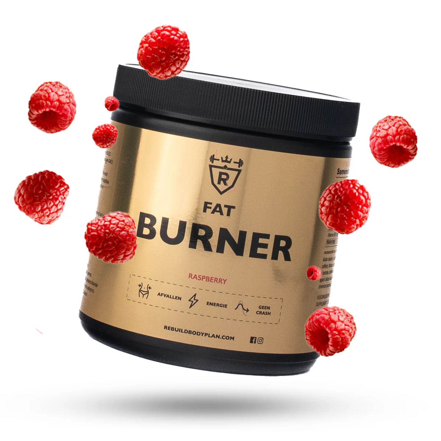 Rebuild Body Plan  Fatburner Raspberry
