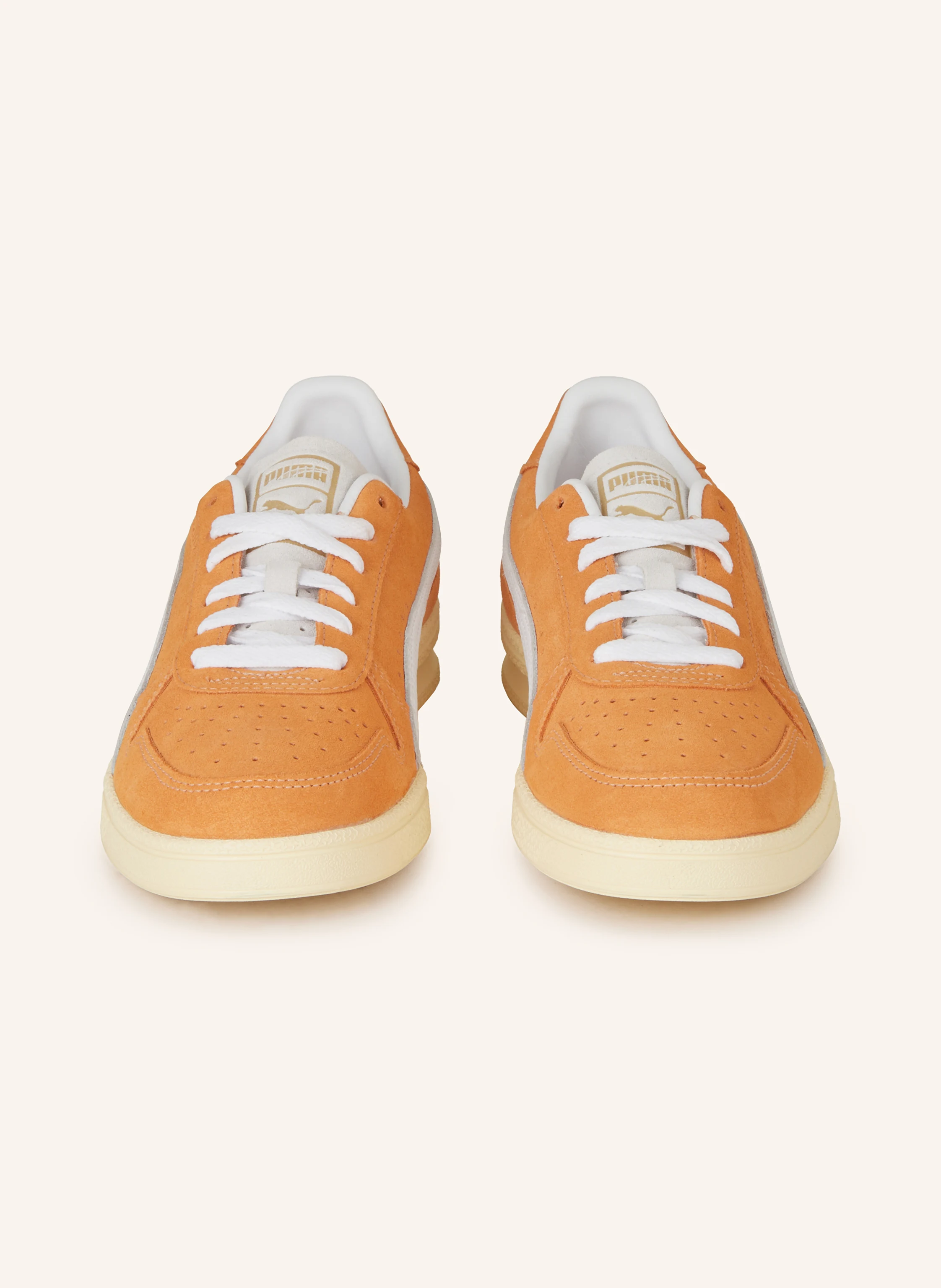 PUMA Sneaker INDOOR SOFT