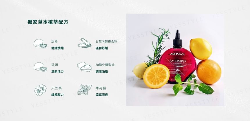 AROMASE - 1% 5a Juniper Scalp Purifying Liquid Shampoo Charmante Verzorging