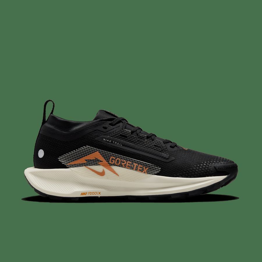Nike Pegasus Trail 5 GORE-TEX