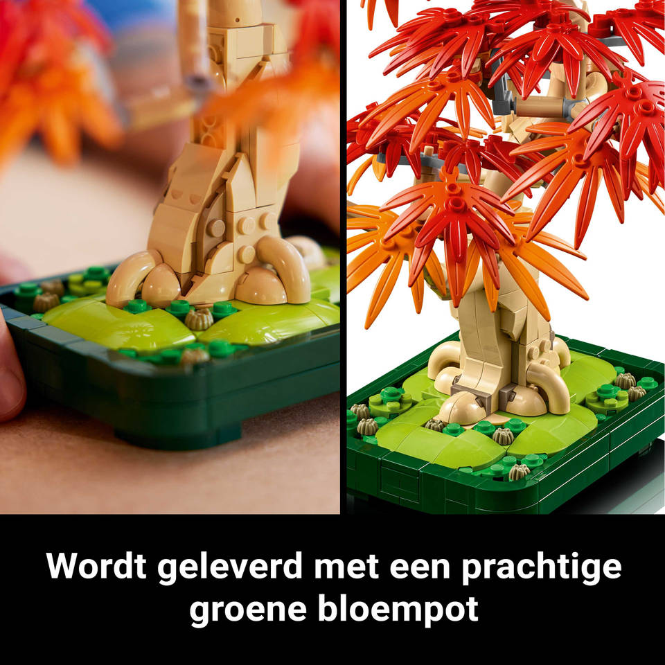 LEGO Botanicals Japanse esdoorn bonsaiboompje 10348