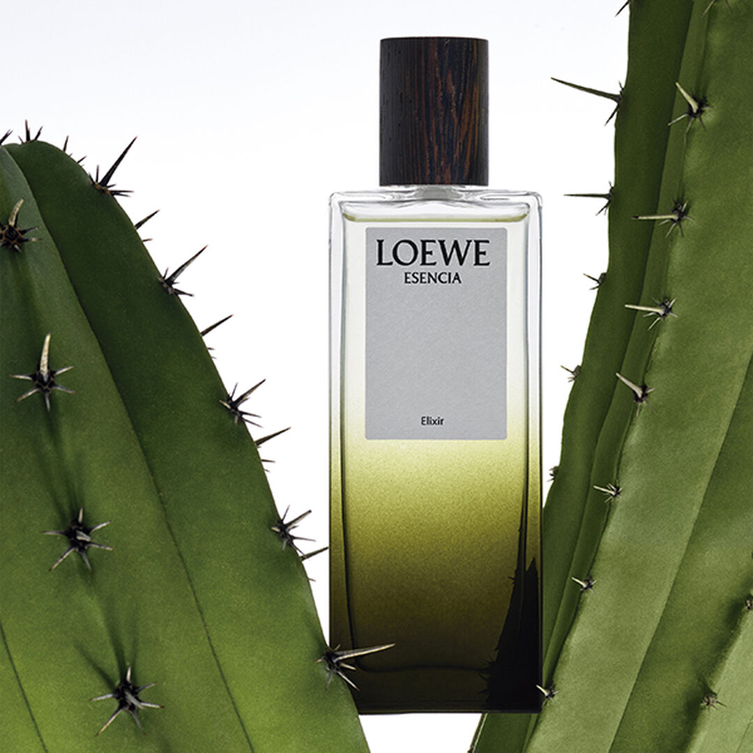 LOEWE LOEWE ESENCIA ELIXIR - 100ml