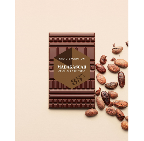 Tablette Madagascar Chocolat Noir 85% | Le Chocolat Alain Ducasse 75g