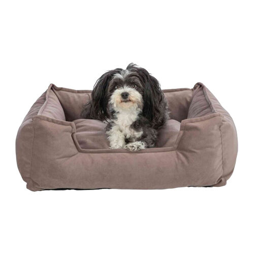 Trixie Mand Talia Hoekig