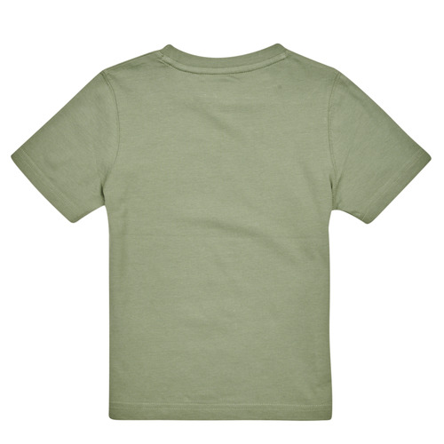 Timberland - T25T77-708-J - Kaki