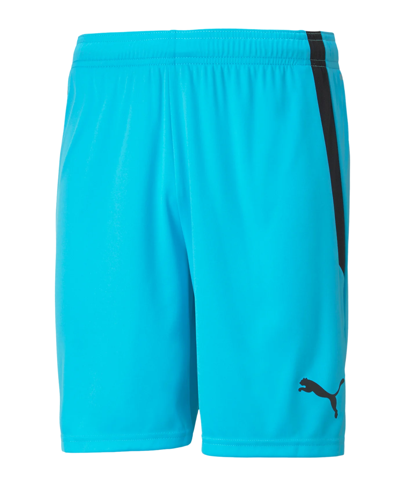 PUMA teamLIGA Short Kids Blau Schwarz F40