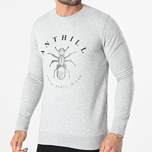 Sweat Crewneck Logo Gris Chiné