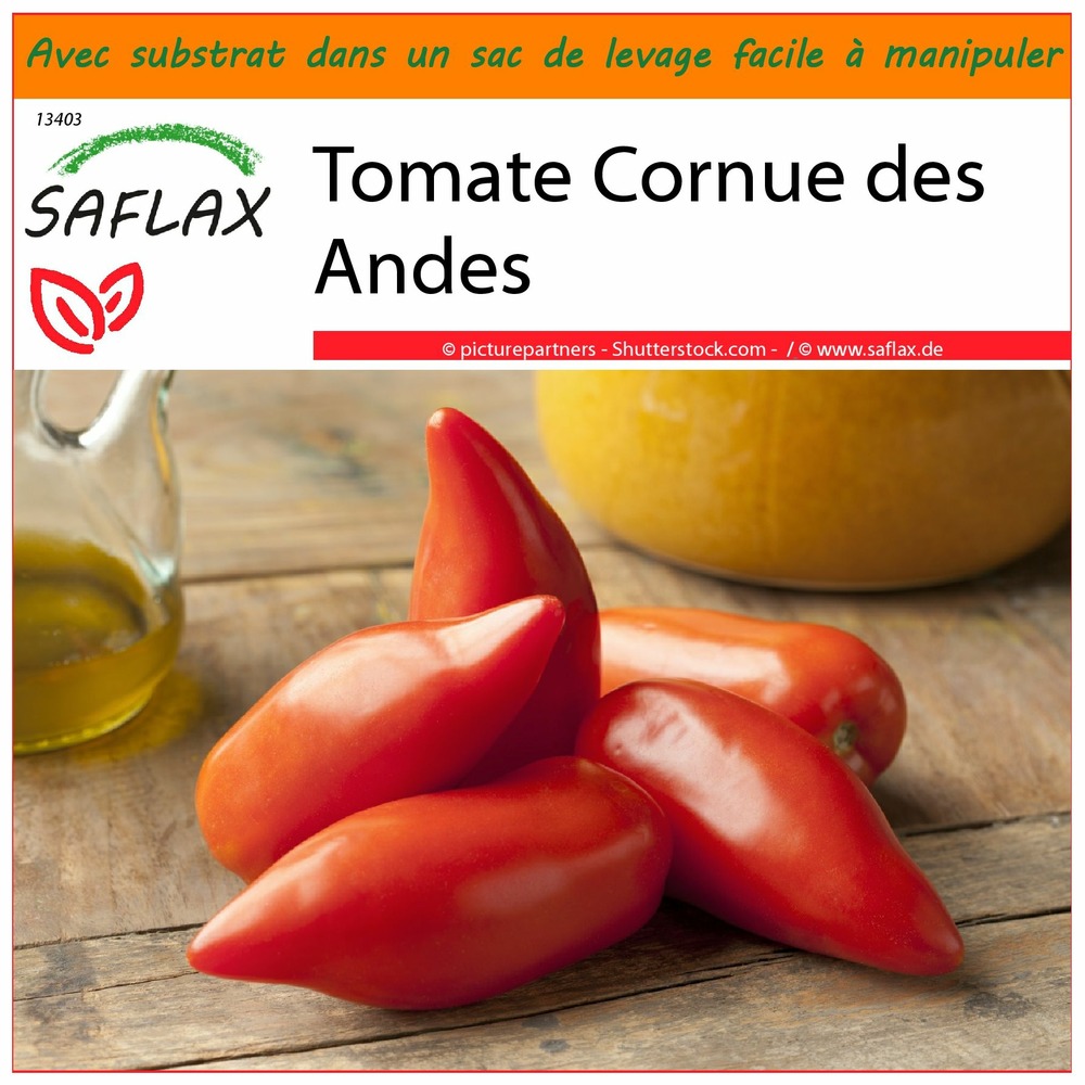 Jardin dans le sac - tomate cornue des andes - 10 graines - lycopersicon esculentum