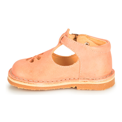 Aster - BIMBO-2 - Rose