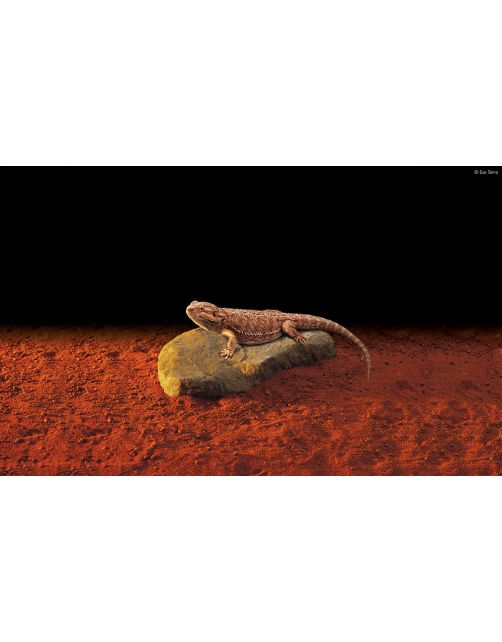 Exo Terra Heat Wave Rock Warmtesteen - Verwarming