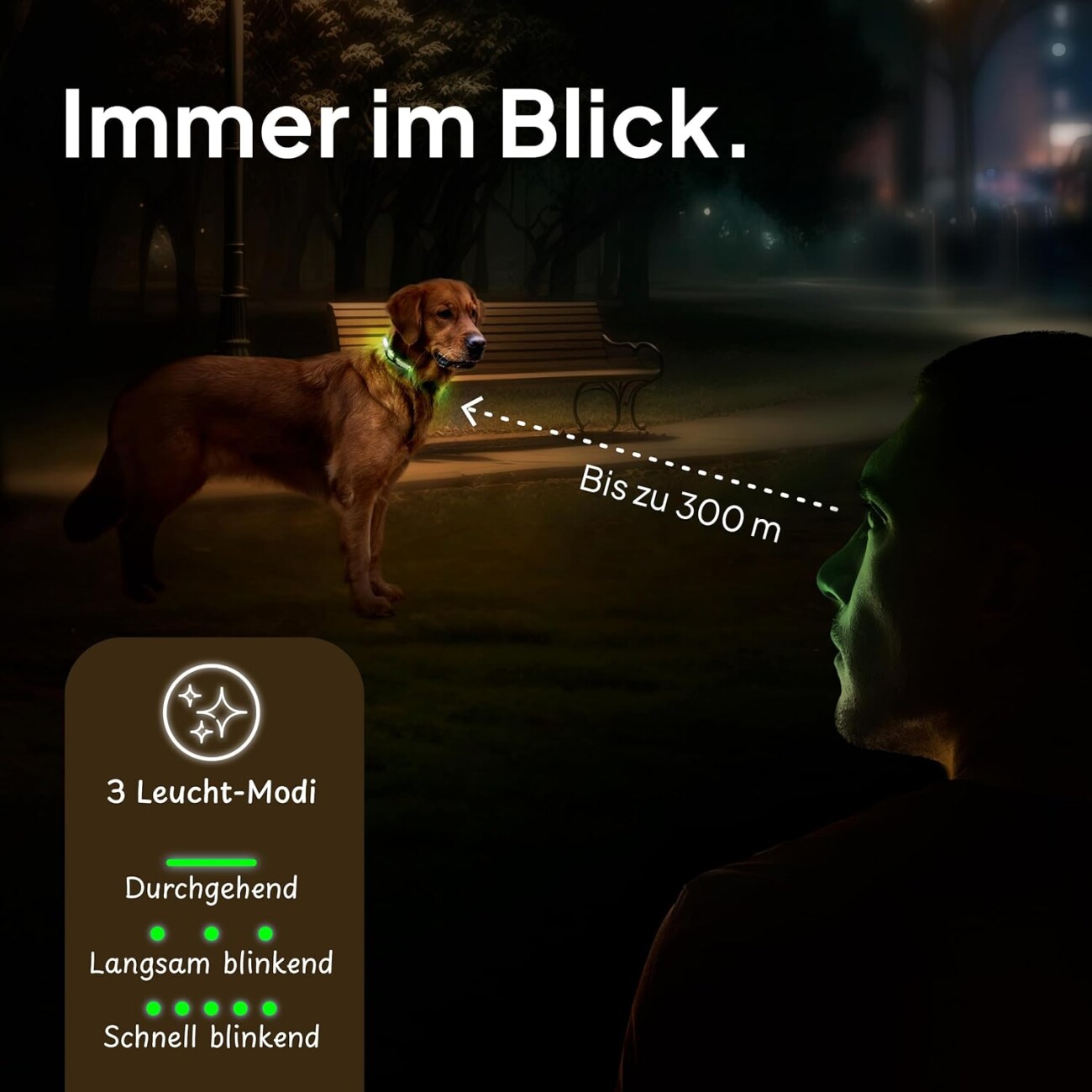 Tierhood Leuchtehalsband LED Halsband grün M