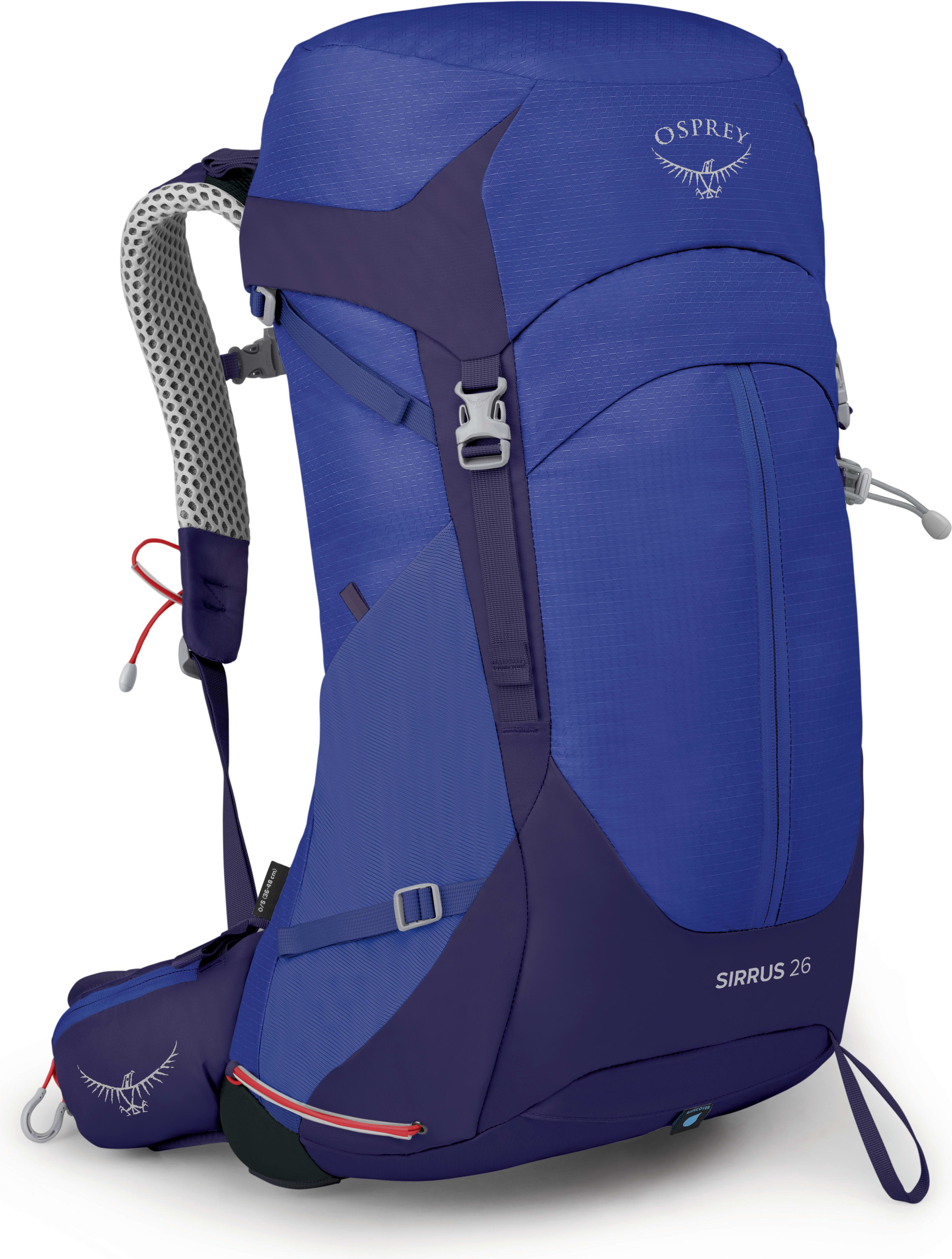 Sirrus 26 Dame 439/Blueberry