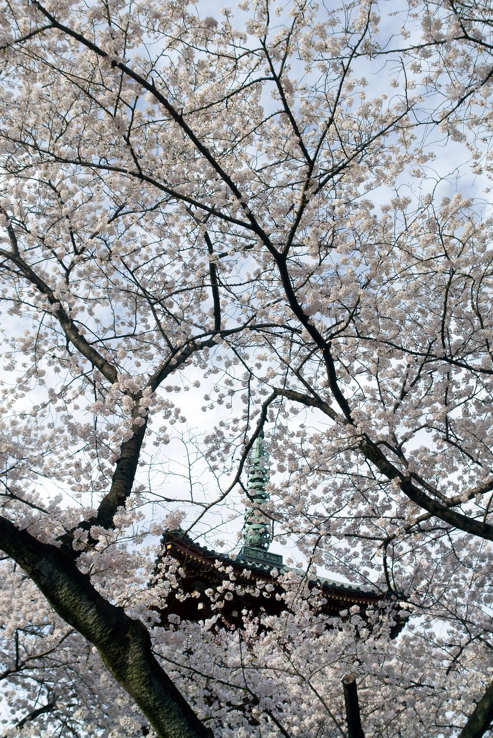 Kaneiji by Olivier Föllmi - Limited Edition. Edition of: 100. Signed.