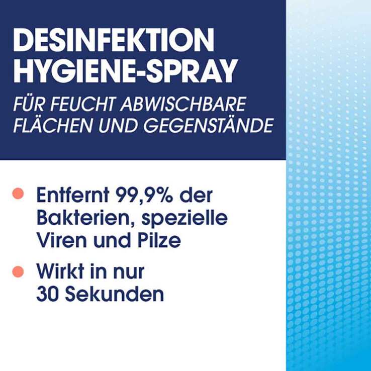 Sagrotan Hygiene-Pumpspray, 250 ml