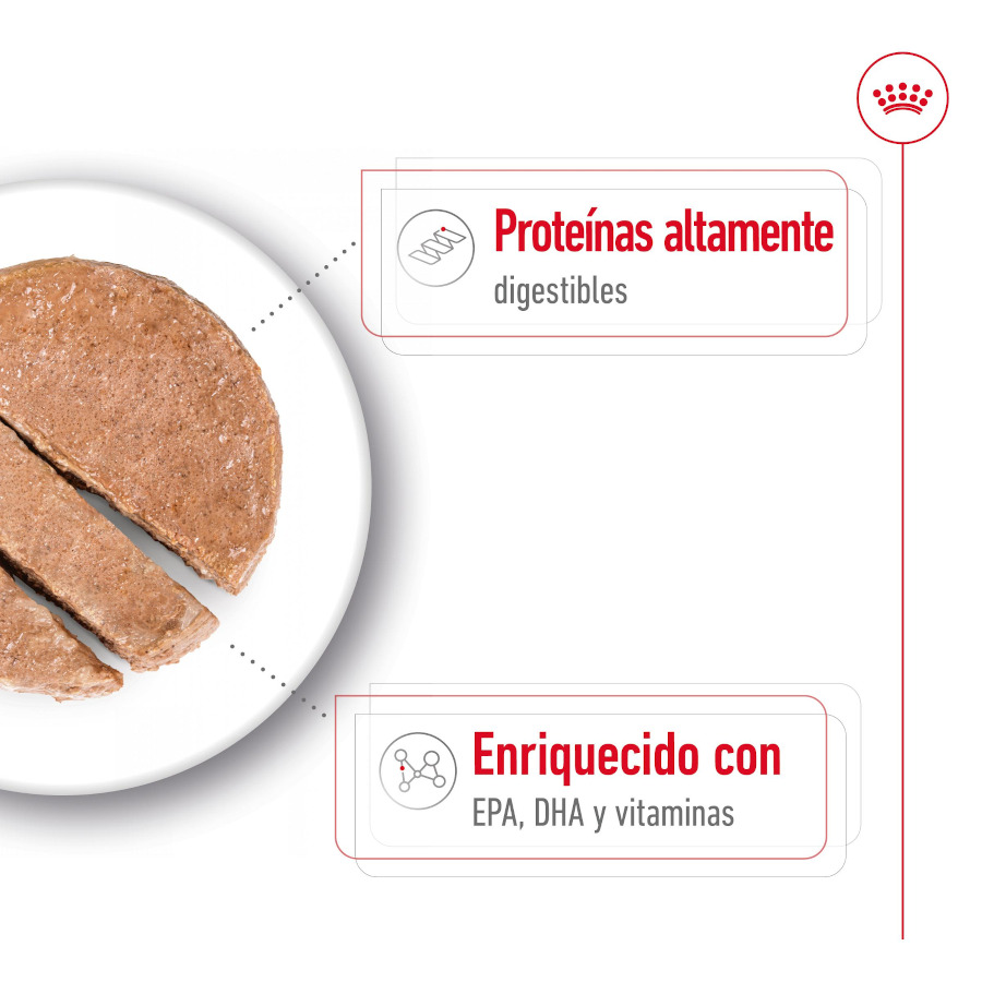 Patê Royal Canin Maxi para Cães Idosos 5+