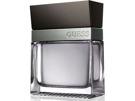 Guess Seductive Homme Eau De Toilette 100 ml (man)