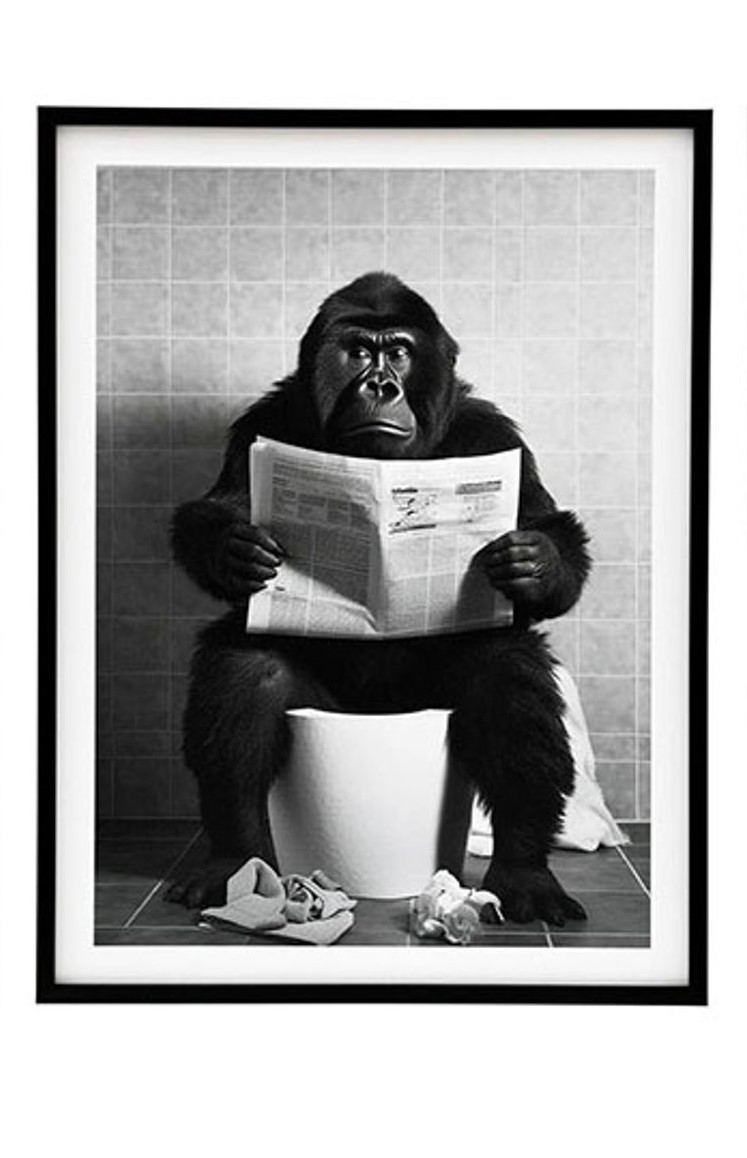 Cadre animaux WC noir et blanc 45x60cm