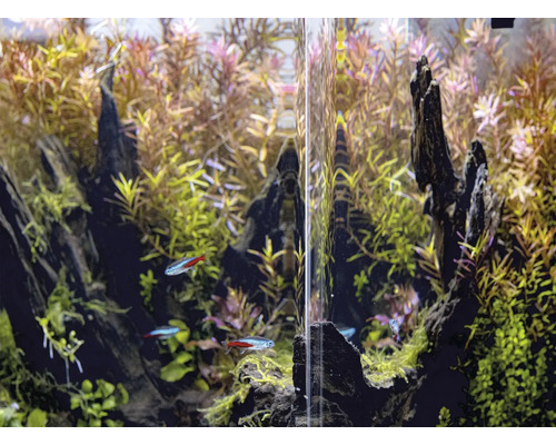 OptiBent 30 zwart aquarium, 29 l met LED-verlichting, verwarming, binnenfilter en bodem, wit glazen nano-aquarium