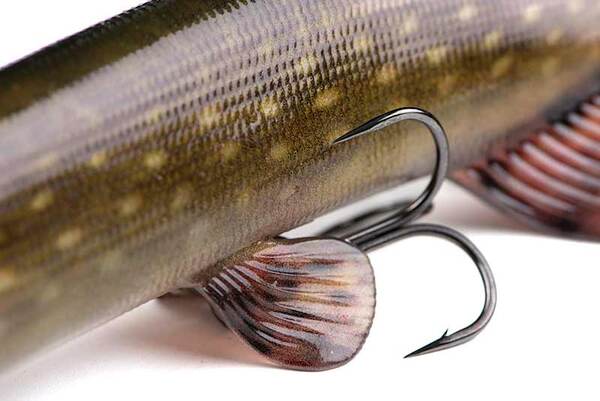 Fox Rage Ultra-Realistic Pike Replicant Swimbait 20cm (80g)