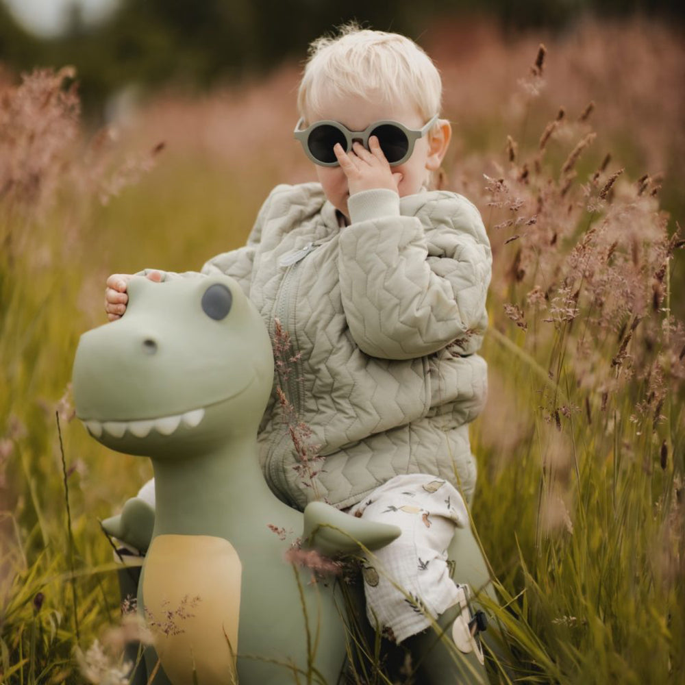Køb Find that Hippo Hoppedyr - Dexter Dino