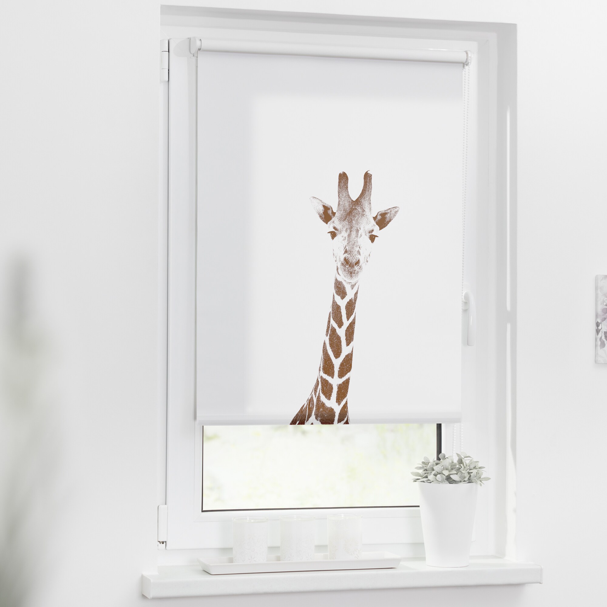 Lichtblick Rollo Klemmfix, ohne Bohren, blickdicht, Giraffe - Braun