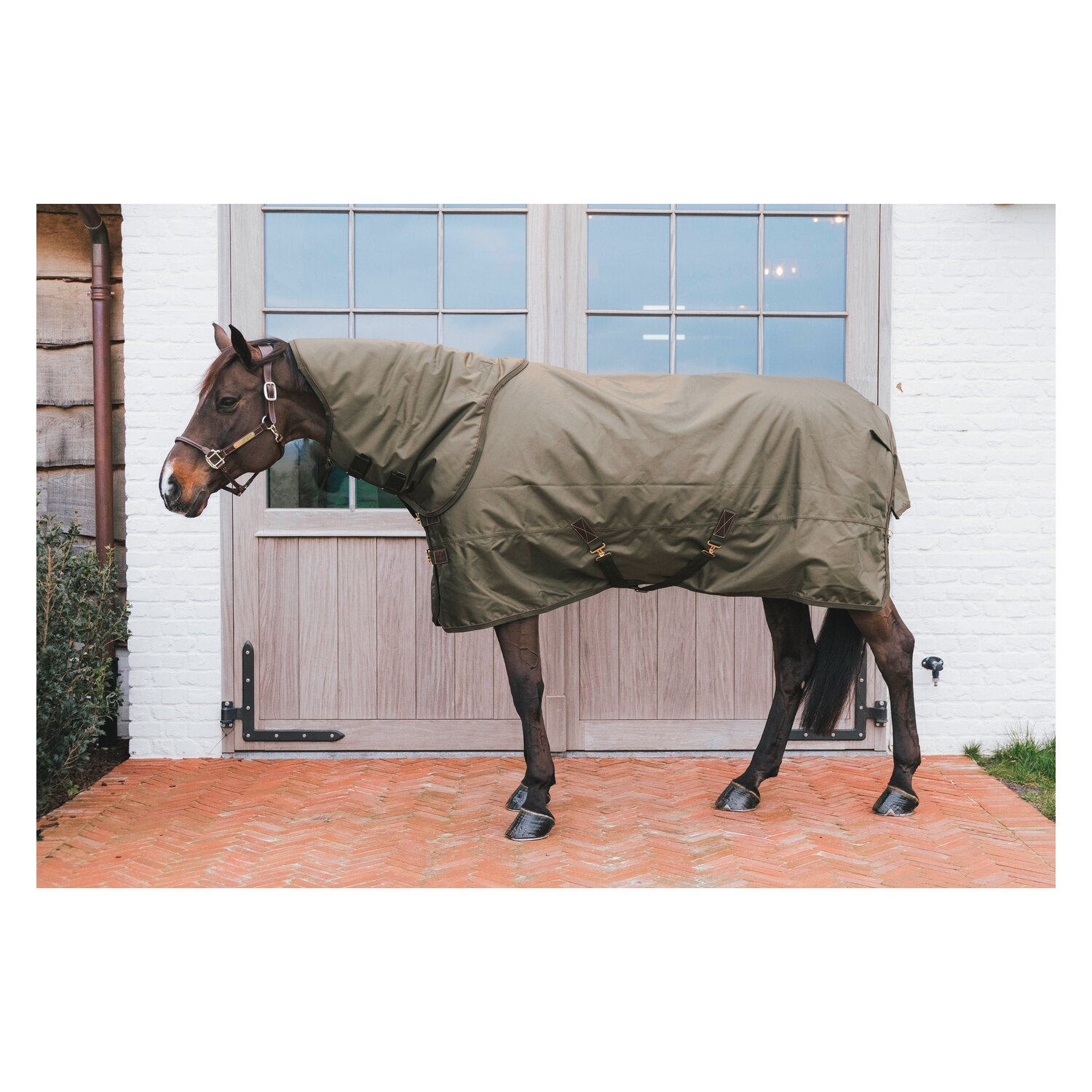 KENTUCKY Weidedecke All Weather Waterproof Pro 160 g - khaki