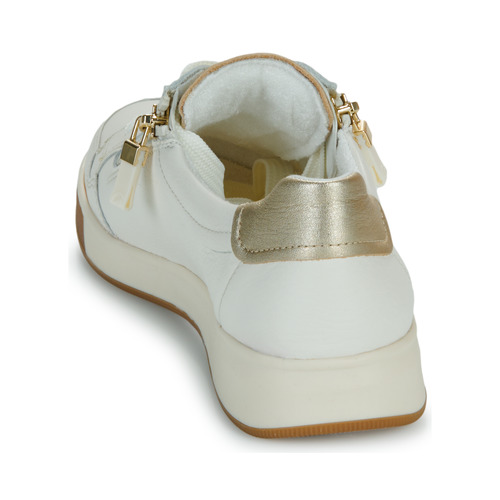 Ara - ROM-HIGHSOFT - Blanc