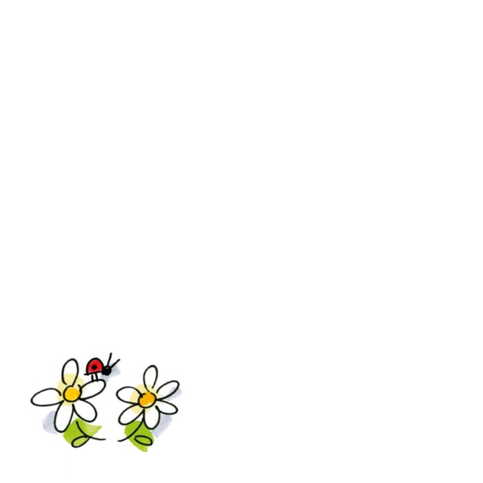 Blond Amsterdam | Succeskaart | doos | bloemen