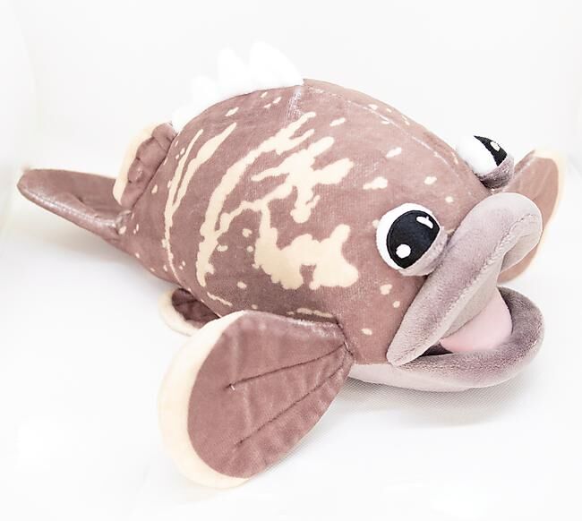 LES PELUCHES DE MARIUS - PELUCHE MEROU TOUT COURT