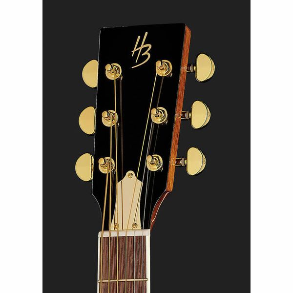 Harley Benton Custom Line CLR-ResoElectric