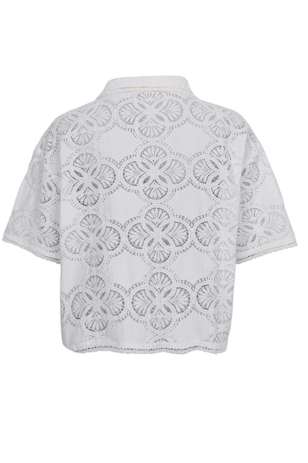 Black Colour Bcmilos Lace Blouse 40877