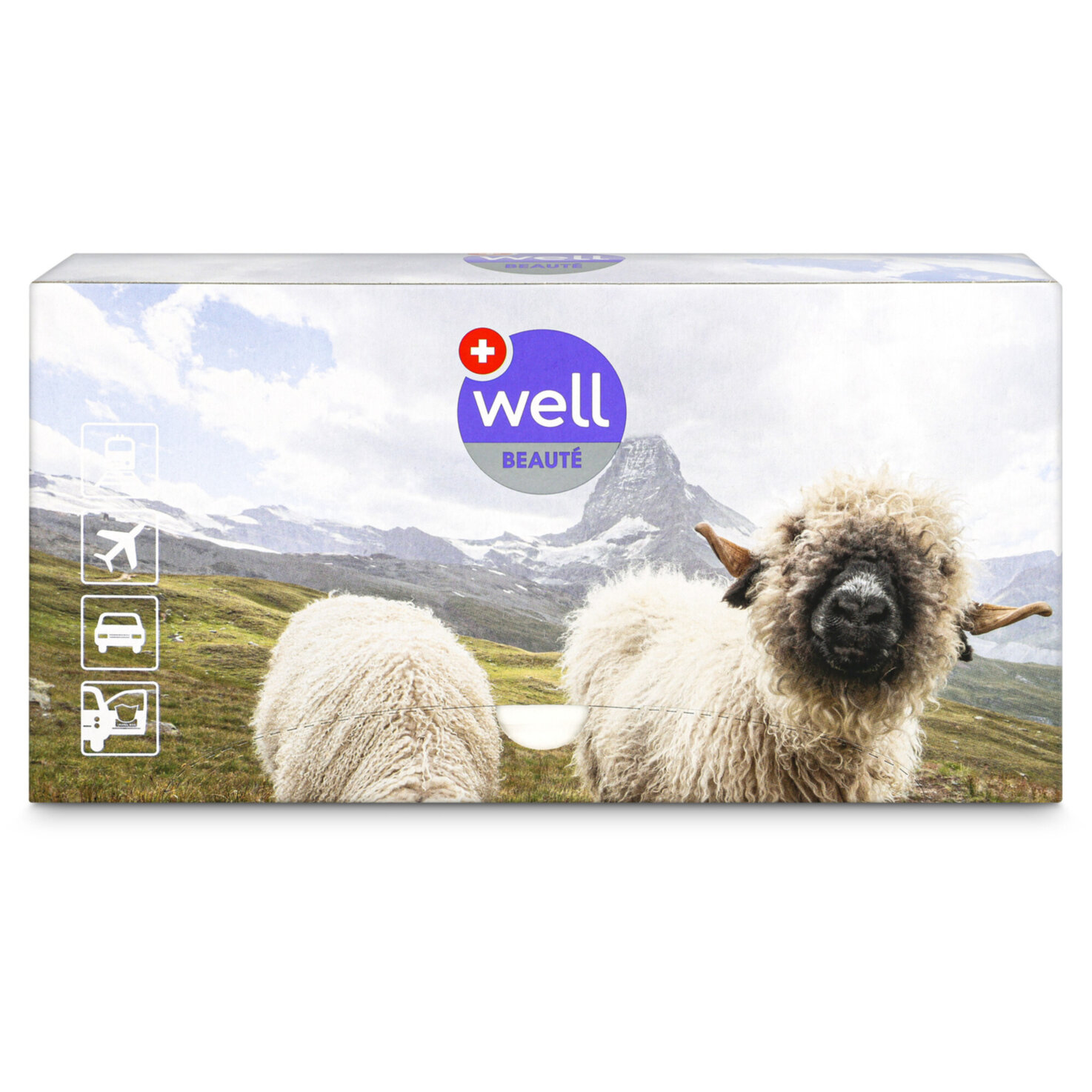 Kosmetiktücher Travel Farbe assortiert