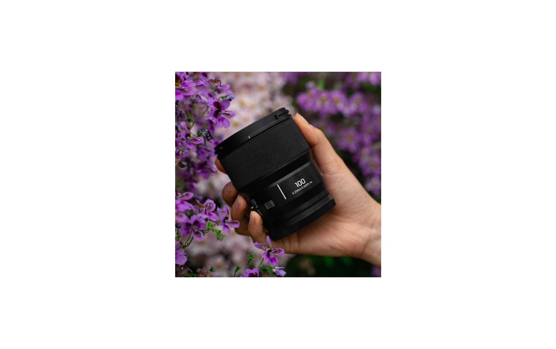 Festbrennweite Lumix S 100mm F/2.8 – L-Mount<br>Makro-Objektiv mit L-Mount-Anschluss