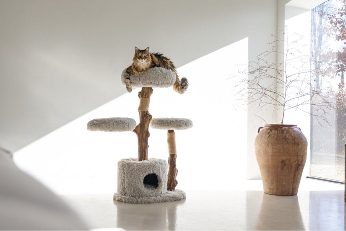 Designed by Lotte Ziza - Krabpaal - Grijs - 100x45x60 cm