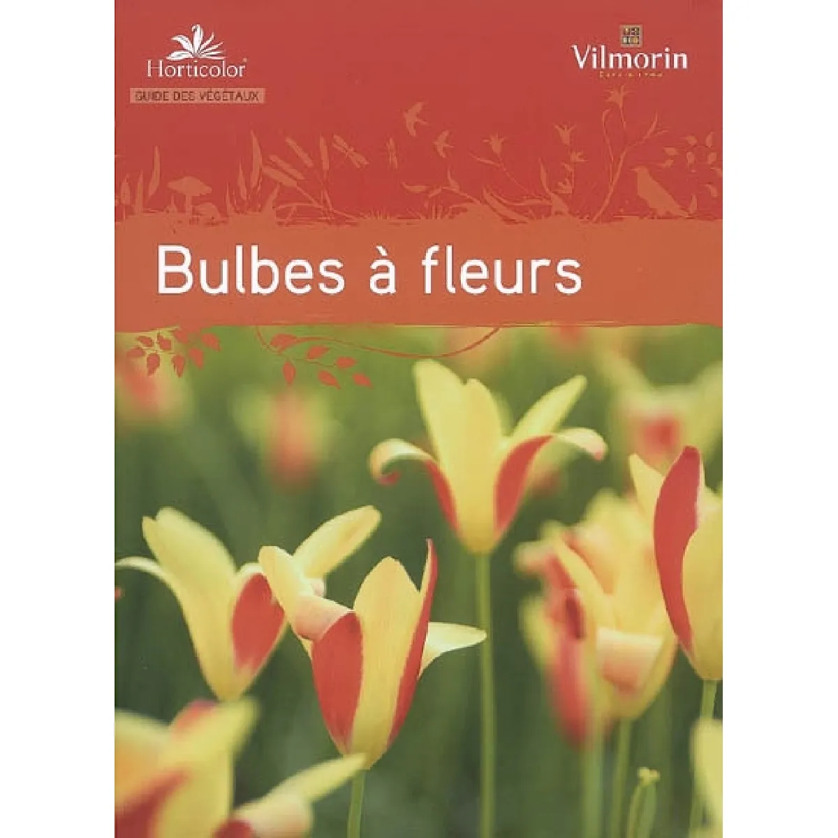 Bulbes à fleurs · Occasion