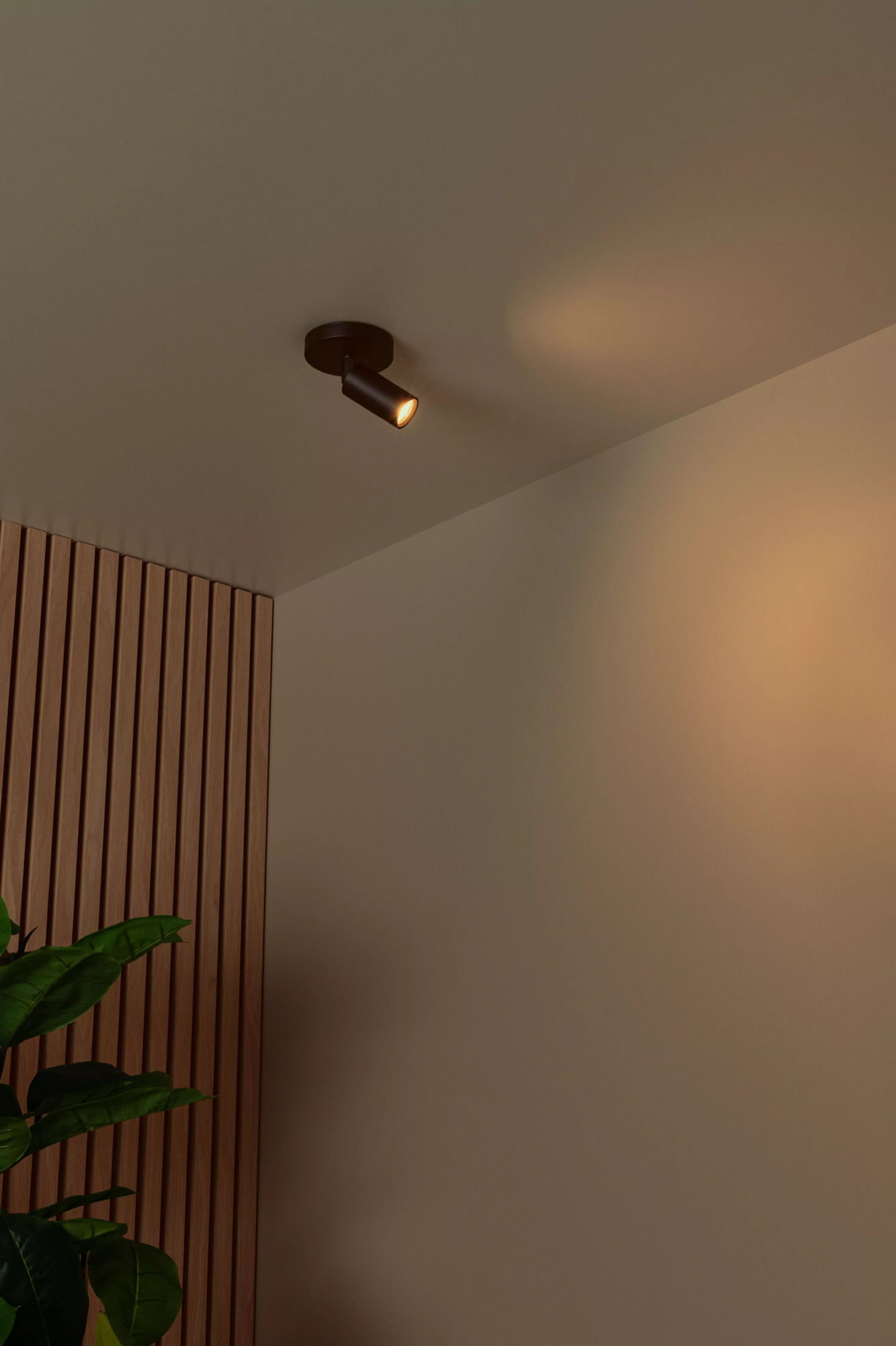 RITMO PLAFONDSPOT Ø 10CM ZWART