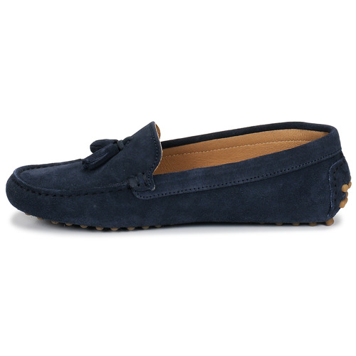 Casual Attitude - GATO - Marine